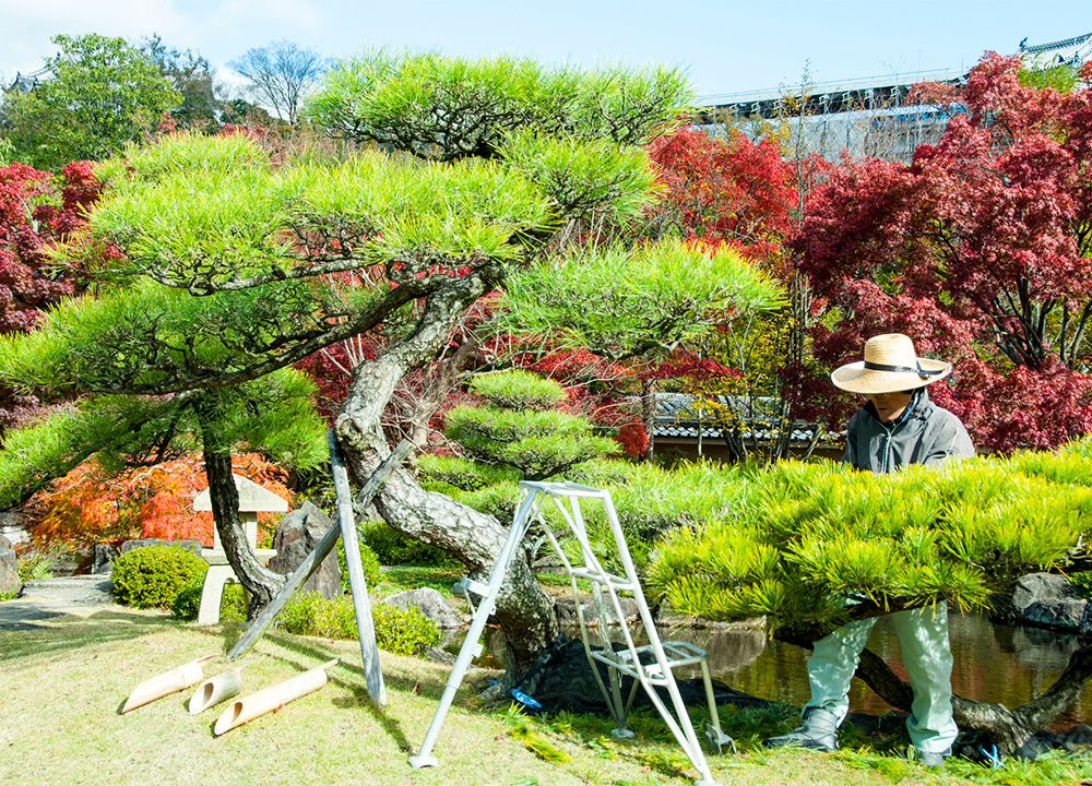 庭いちのできること